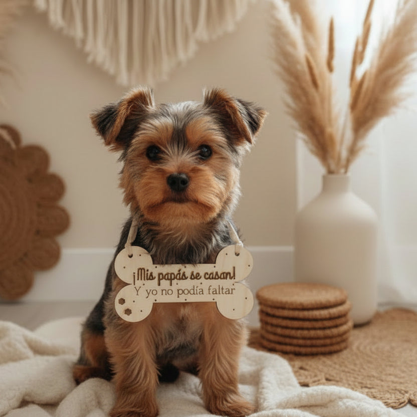 Cartel para mascotas - ¡Mis papis se casan!